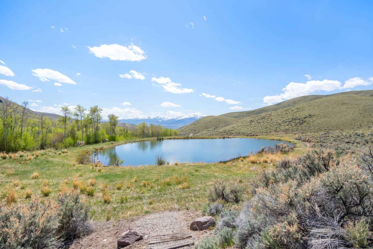 Private Idaho Retreat on 325 acres! - photo 12