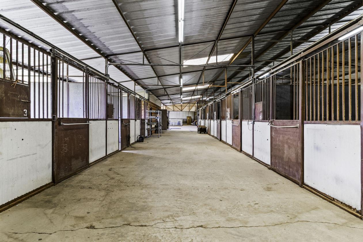 35.14± Acres | Premier Horse Property with Covered - photo 16
