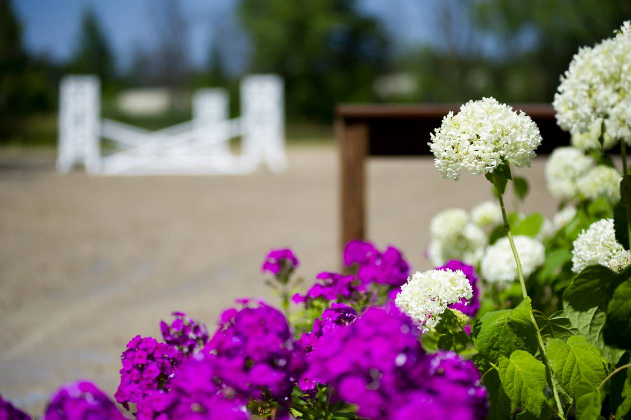 Exceptional 15-Acre Equestrian Facility! - photo 17