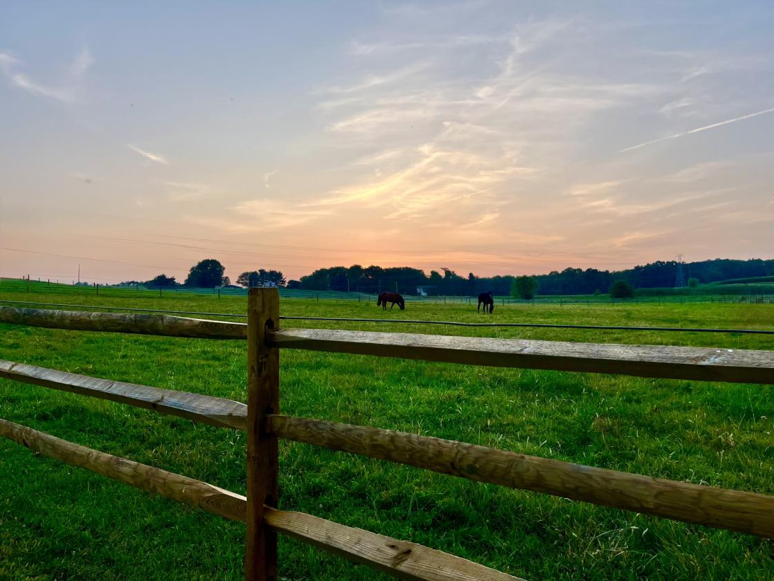 37-Acre 32 Stall Equestrian Estate w/ INDOOR - photo 13