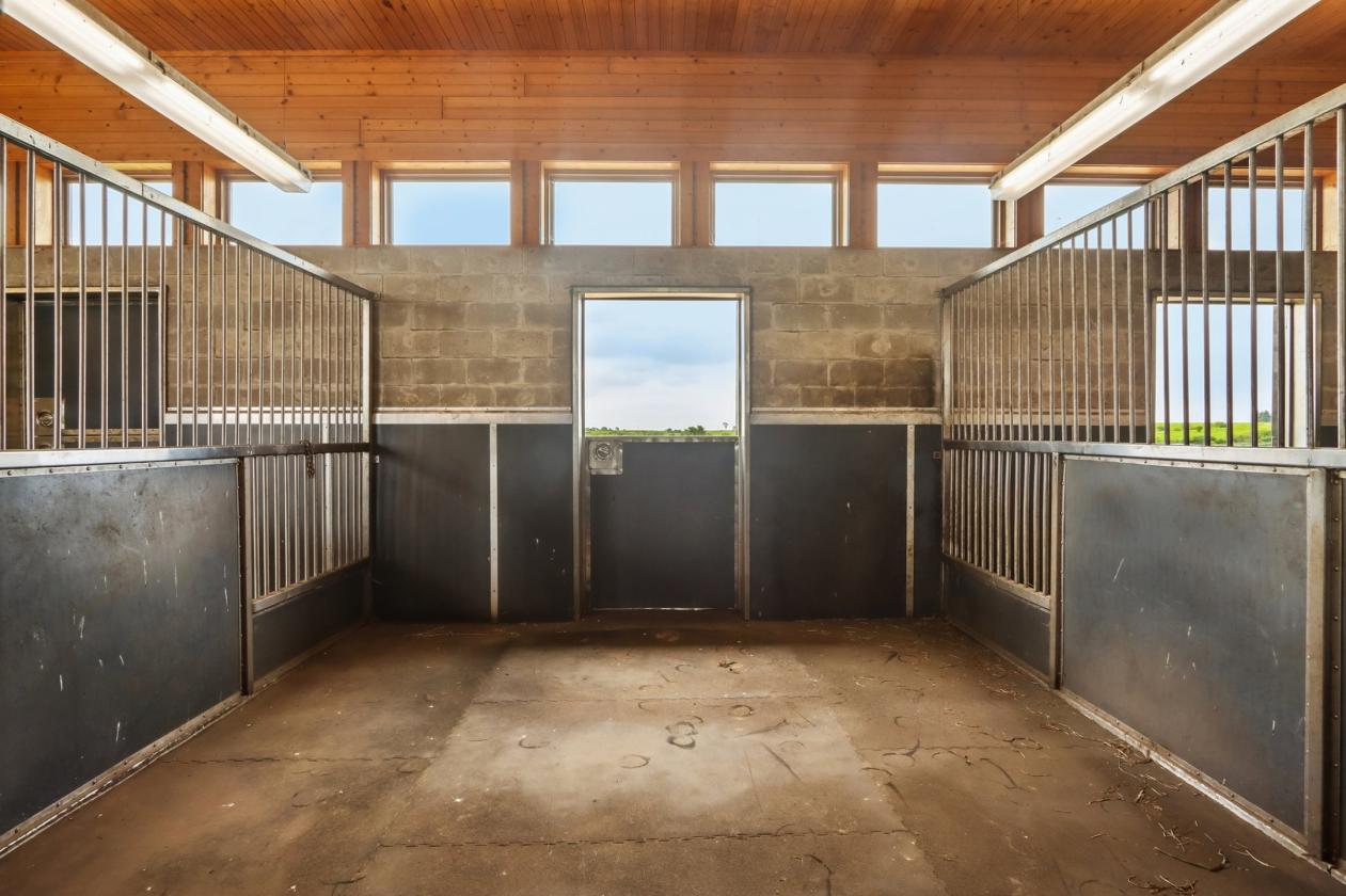 Luxury Equestrian center - photo 21