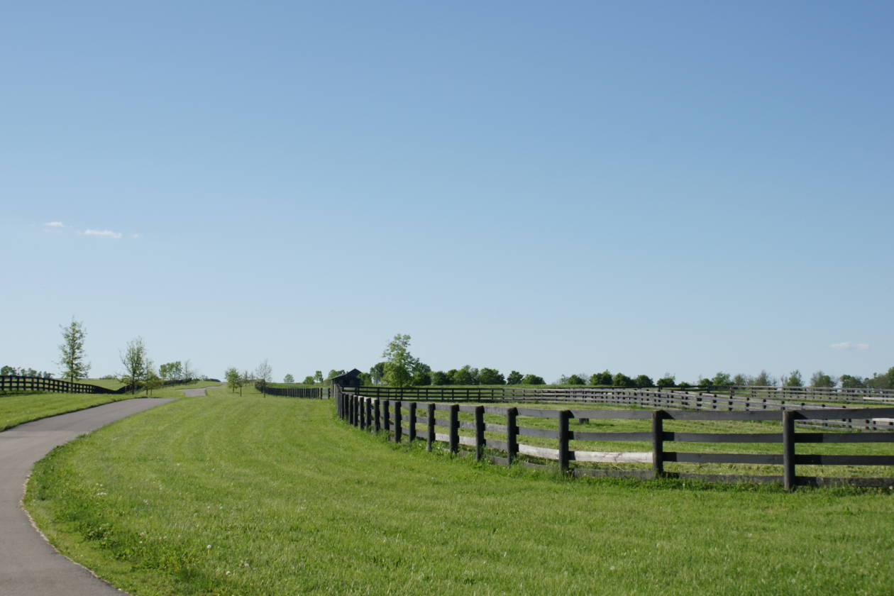 Horse Farm for sale | Paris, Bourbon County, Kentucky