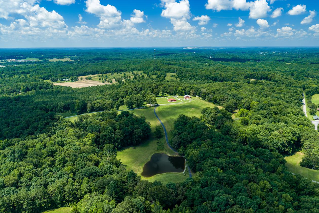 58± Acres with Spectacular Views, Pond & Barn - photo 7