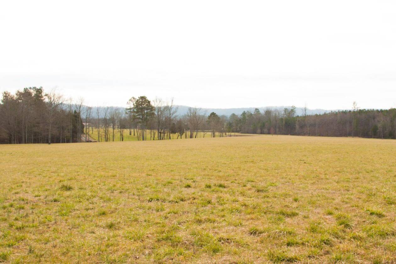 84 Acre Gated Horse farm Cleveland, Bradley County, Tennessee Horse