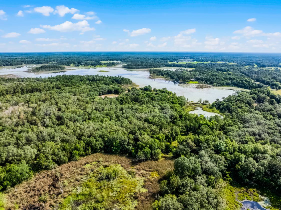 Private & Rare Wild Old Florida 36 Acre Gem - photo 16