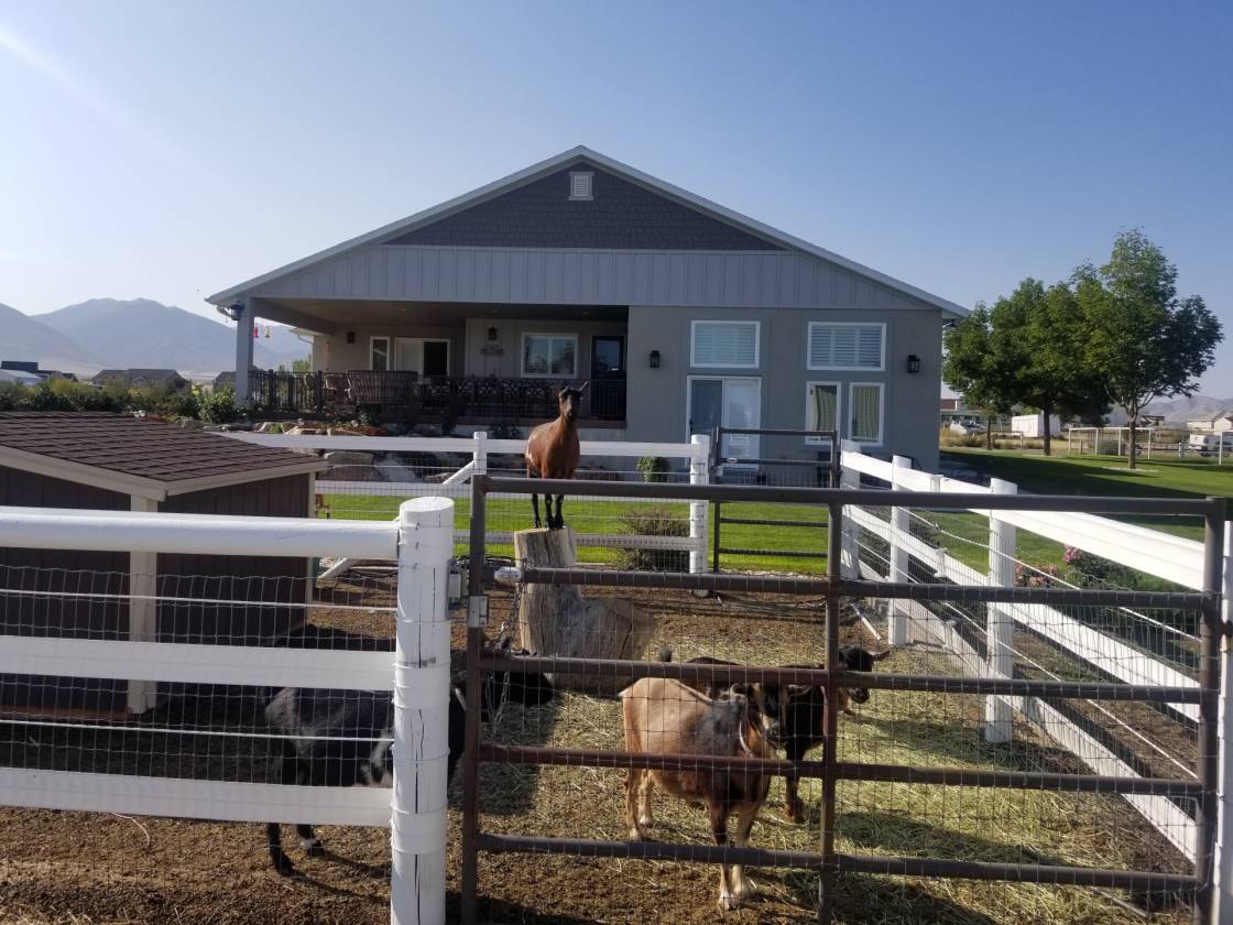 Stunning horse property with custom home, riding arena, large barn