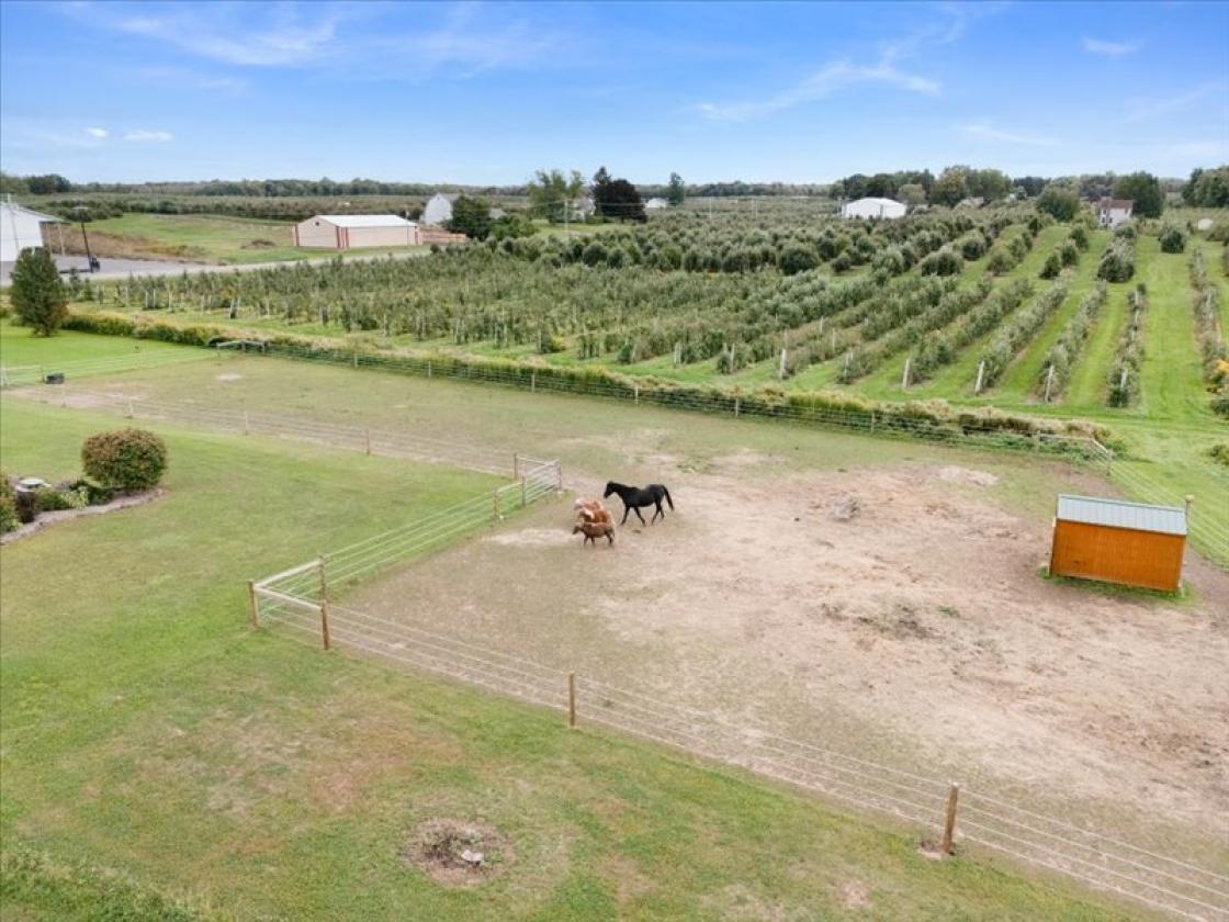 Beautiful House in the heart of apple  country - photo 2