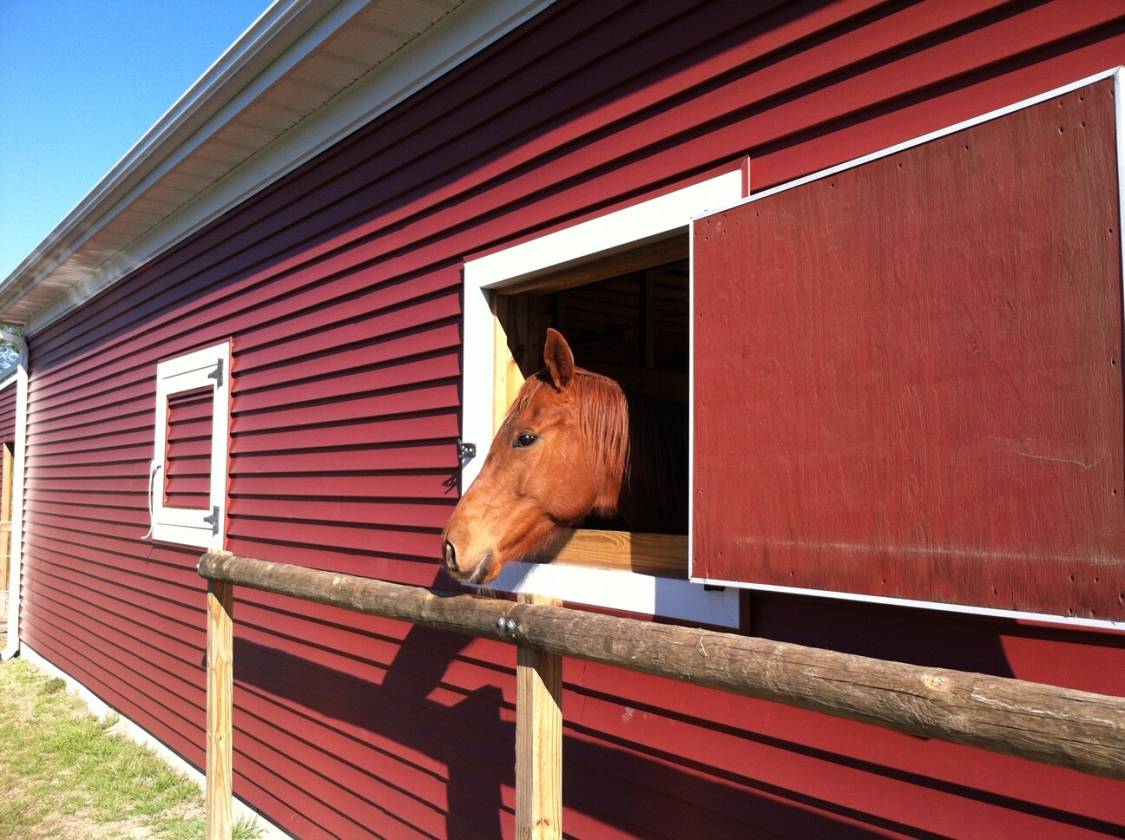 Beautiful Equestrian Property with Stables/Horse Farm for Sale in Suffolk,... Suffolk, Suffolk