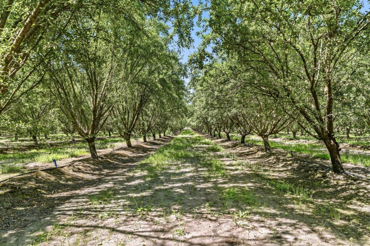 Spurridge - an 18 acre Equestrian Estate - photo 25