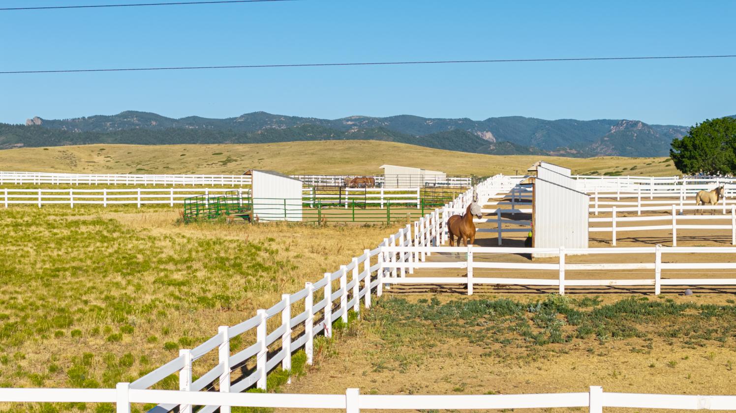 Zuma's Ranch - photo 9
