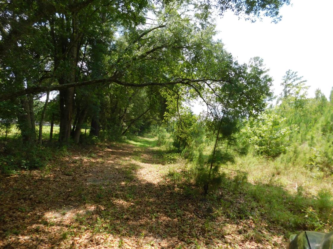 Lowcountry Paradise, waiting for your creativity - photo 3