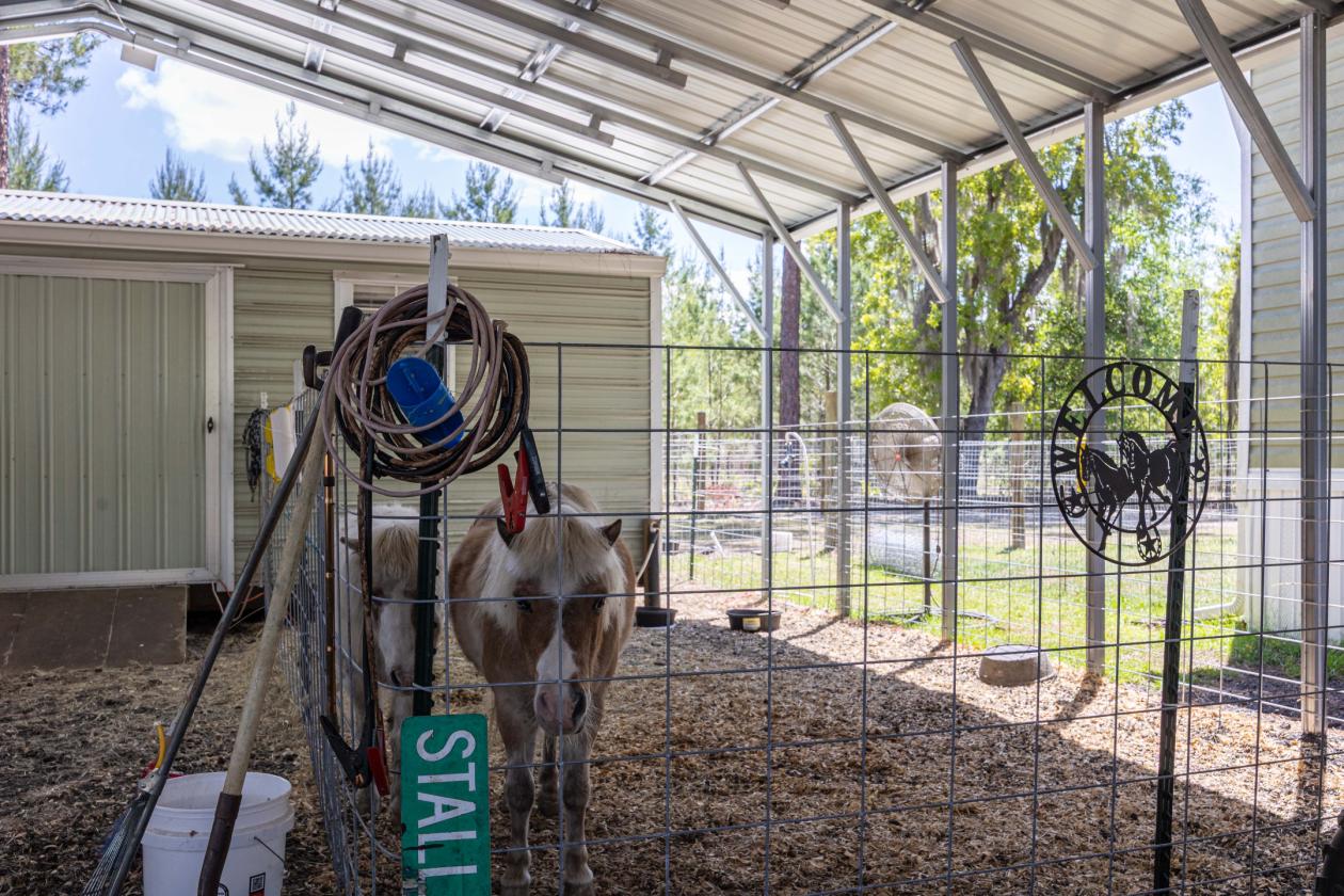 Peace and Quiet with room for your Horse - photo 8