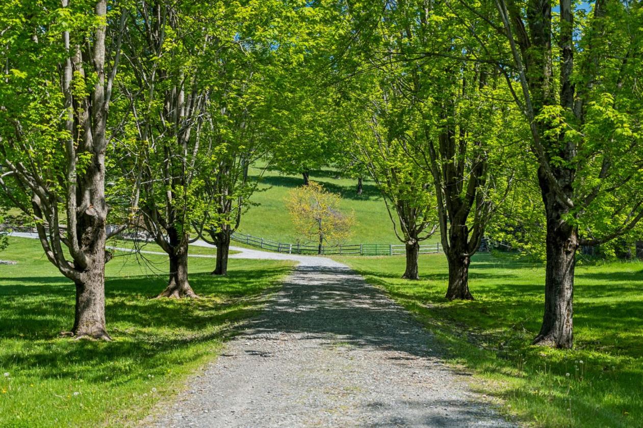 Tuacknback Farm - photo 3