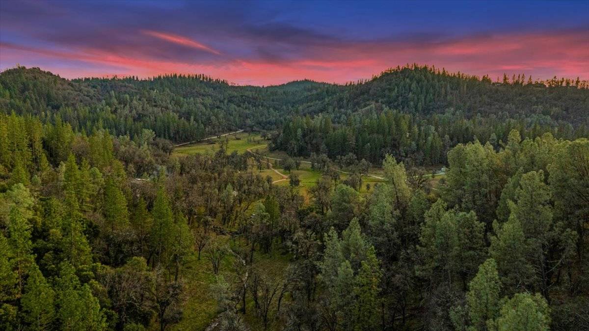 Horse Property for sale.