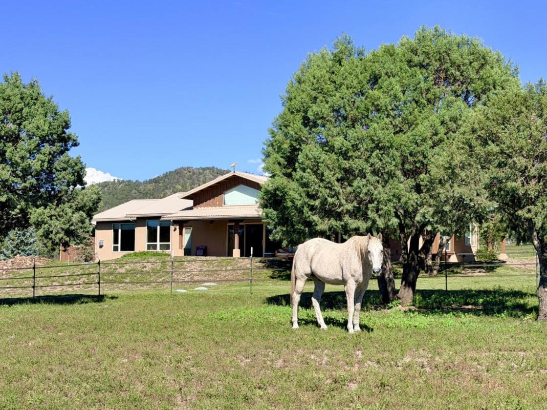20+ Acre Horse Property w/ Direct Trail Access - photo 4