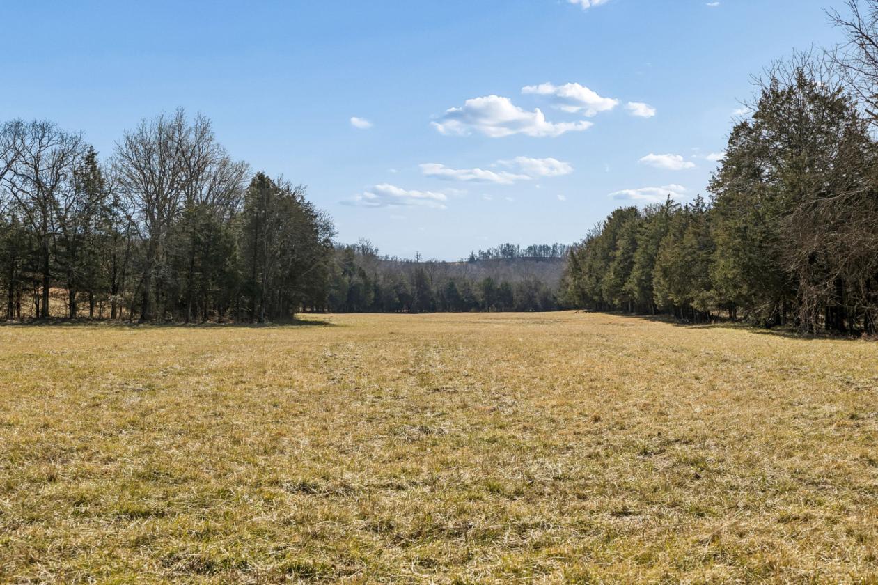 175 Gorgeous Acres - photo 16