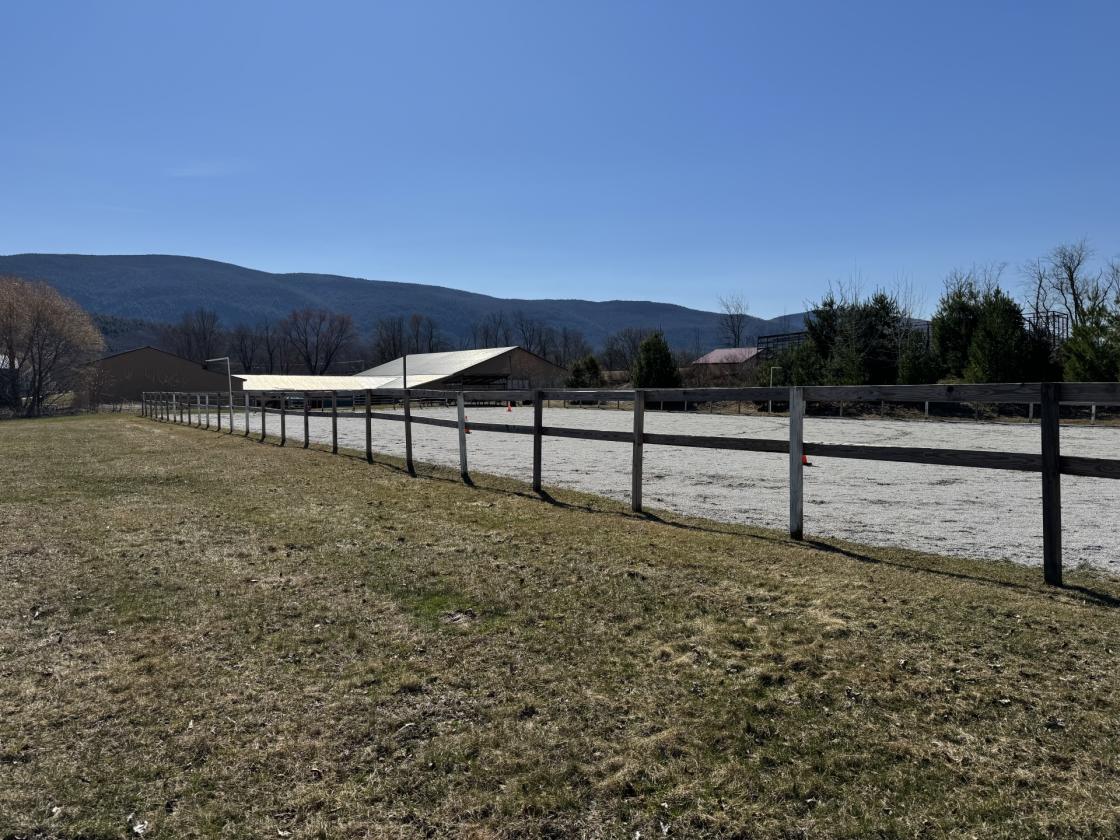 A horse lovers dream! - photo 2