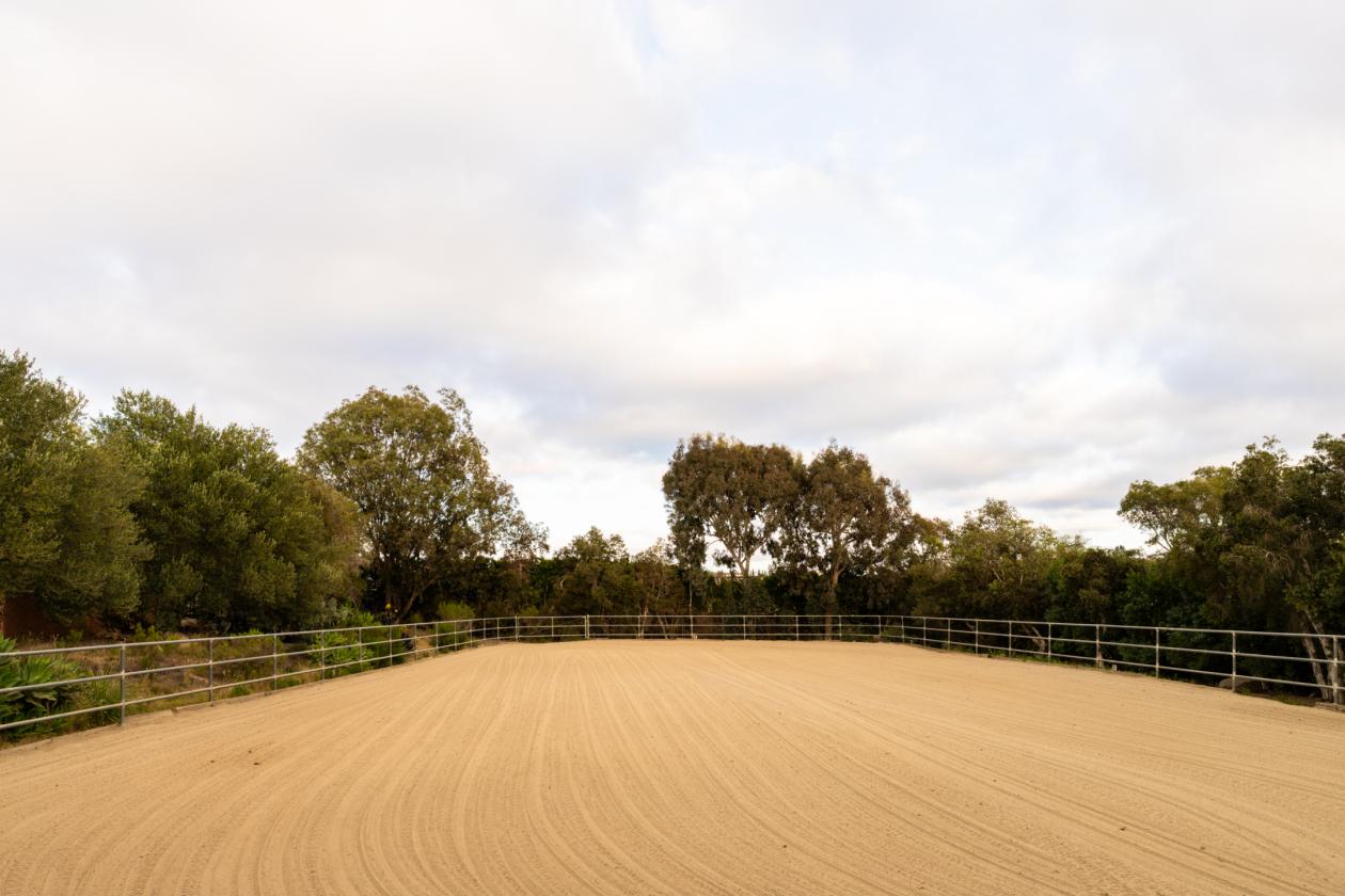 Rancho Santa Fe Lifestyle. County Freedom. No HOA. - photo 5