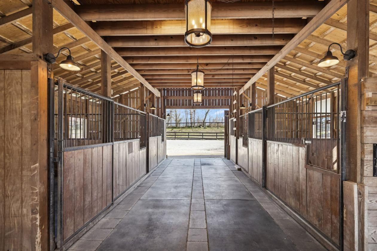 Equestrian Sanctuary with Arena on 5 acres - photo 9