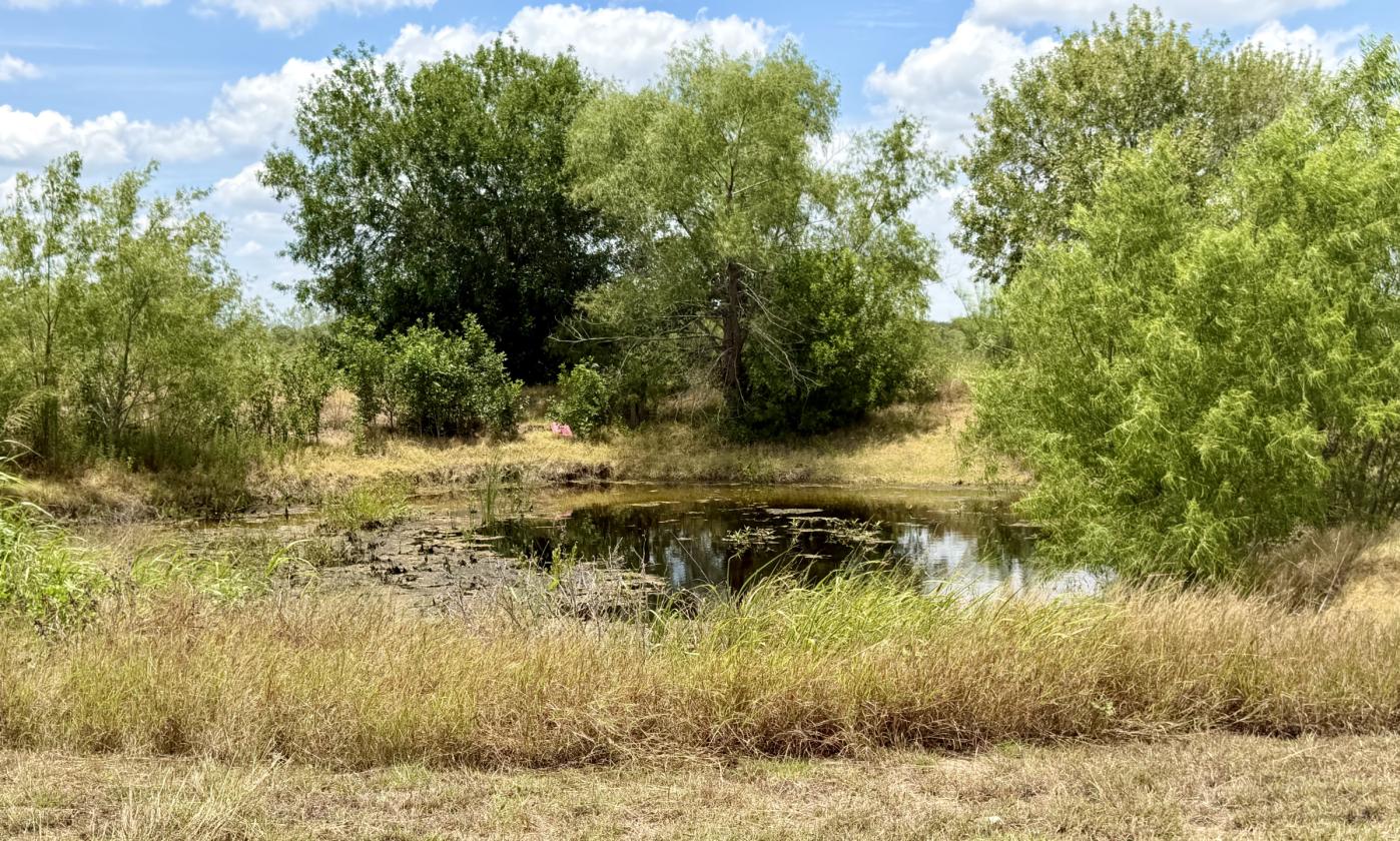 10 Acres and a CUTE cottage near Austin! - photo 8