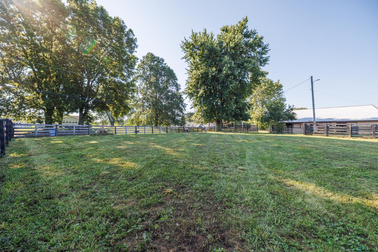 Springville, IN Multi-Tract Real Estate Auction - photo 28