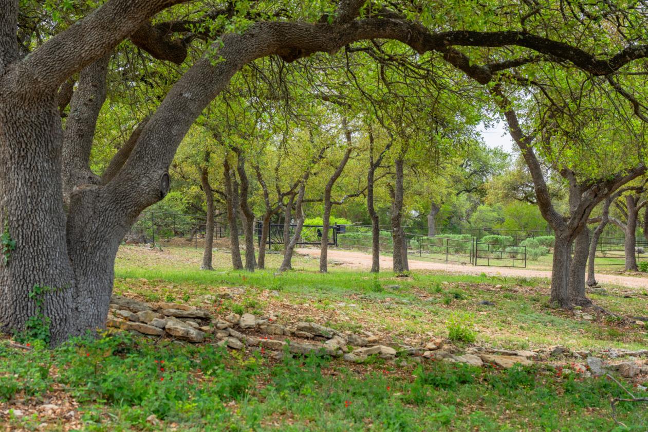 Rainbows End Ranch - photo 28