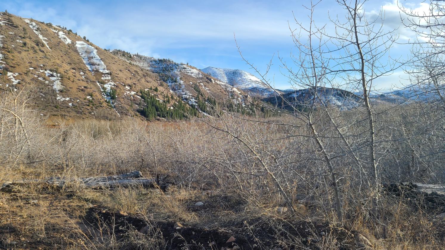 Reduced price!! Off grid property on 20.1 acres - photo 4
