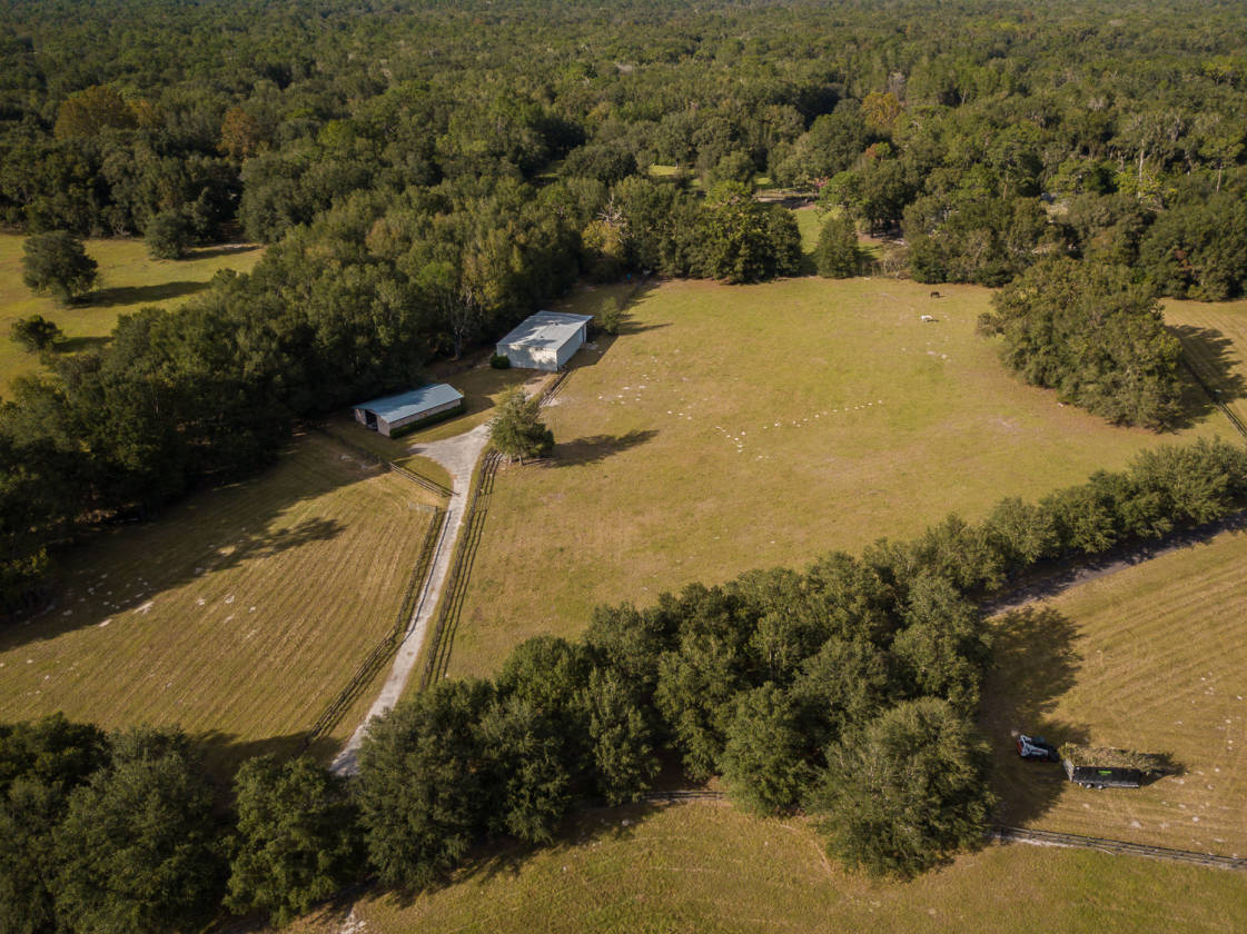 Horse Farm Gainesville, Alachua County, Florida