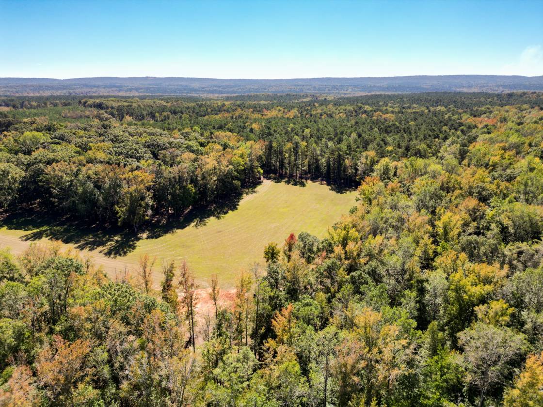Tall Oaks Farm - photo 21