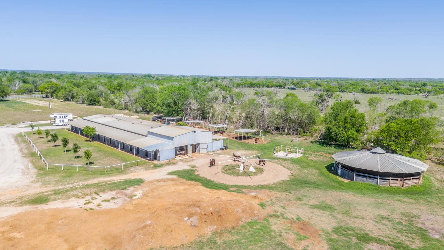Horse Ranch - photo 2