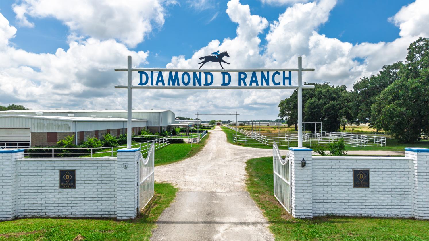 DIAMOND D RANCH EQUESTRIAN ESTATE - photo 16