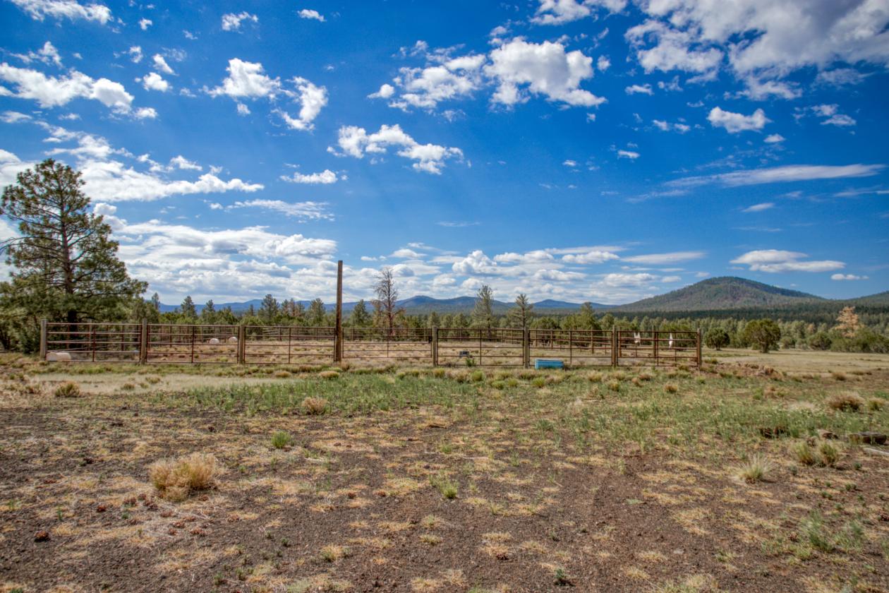 Rare 140 White Mountain Ranch- Majestic Views - photo 9