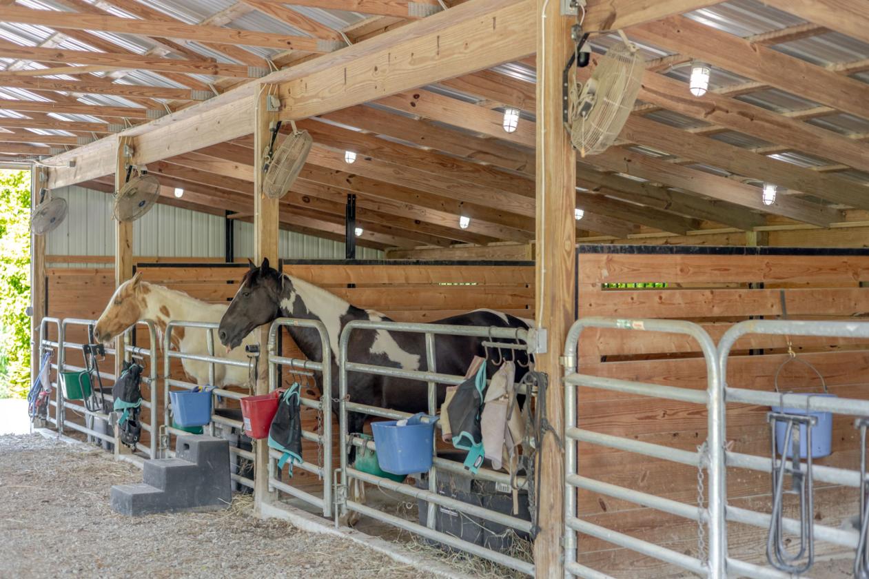 Where Luxury Living Meets The Equestrian Lifestyle - photo 22