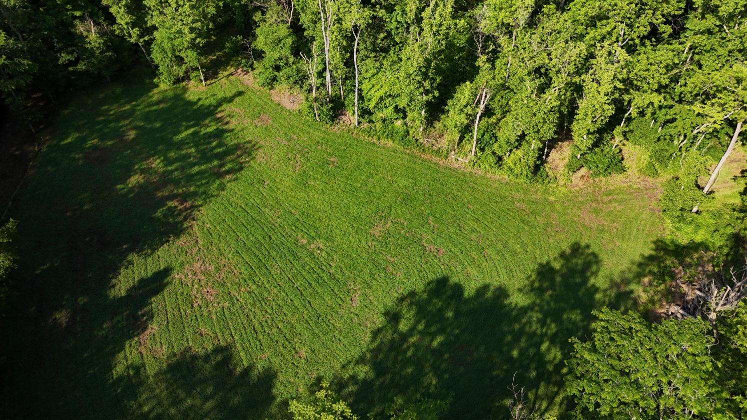 Wooded Estate With Multiple Clover Fields And Home - photo 8