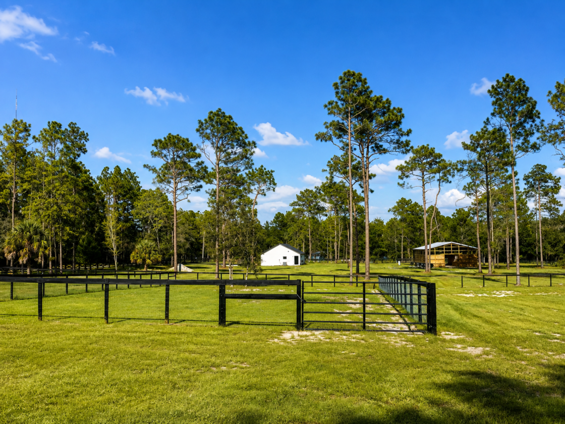 Turnkey Equestrian Farm | 7 Stalls, Arena - photo 7