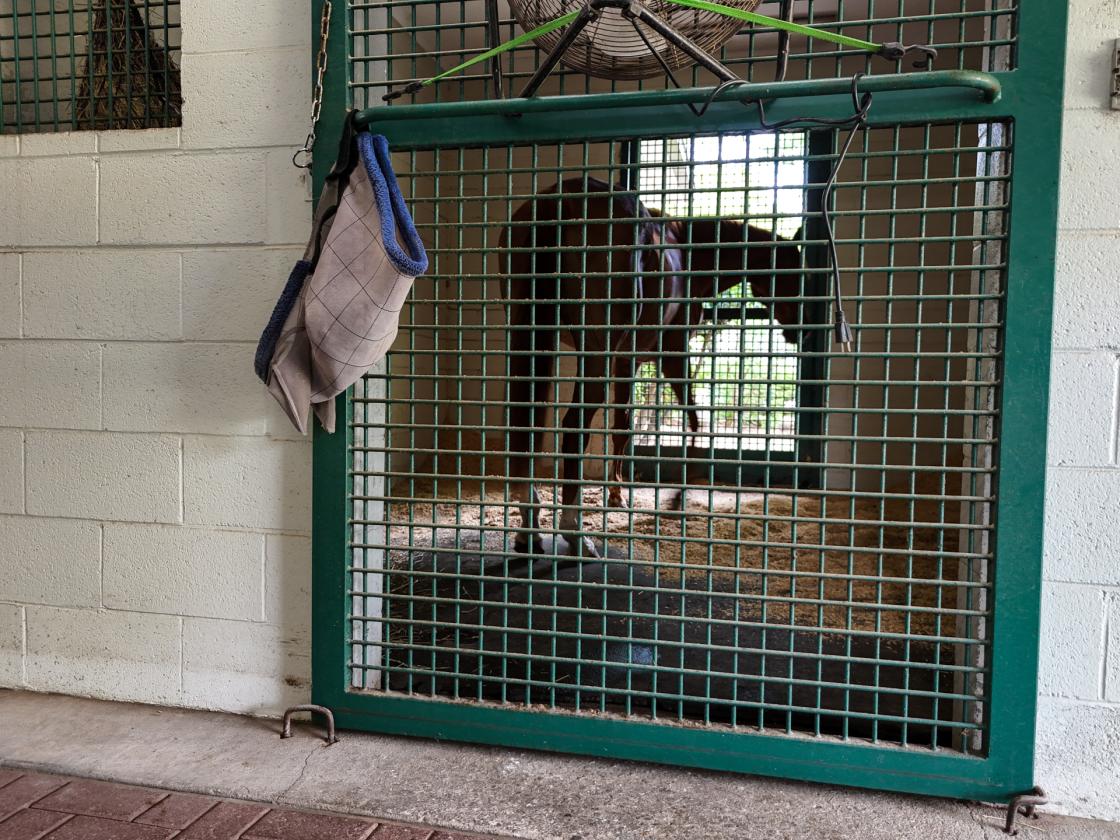 ONE OF A KIND HORSE FARM - photo 5