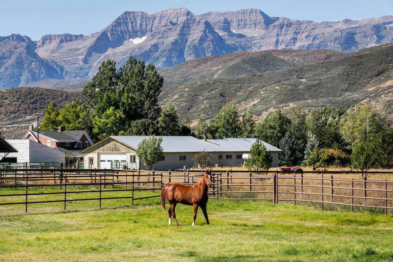Timeless Equestrian Masterpiece Thoughtfully Designed with Views in