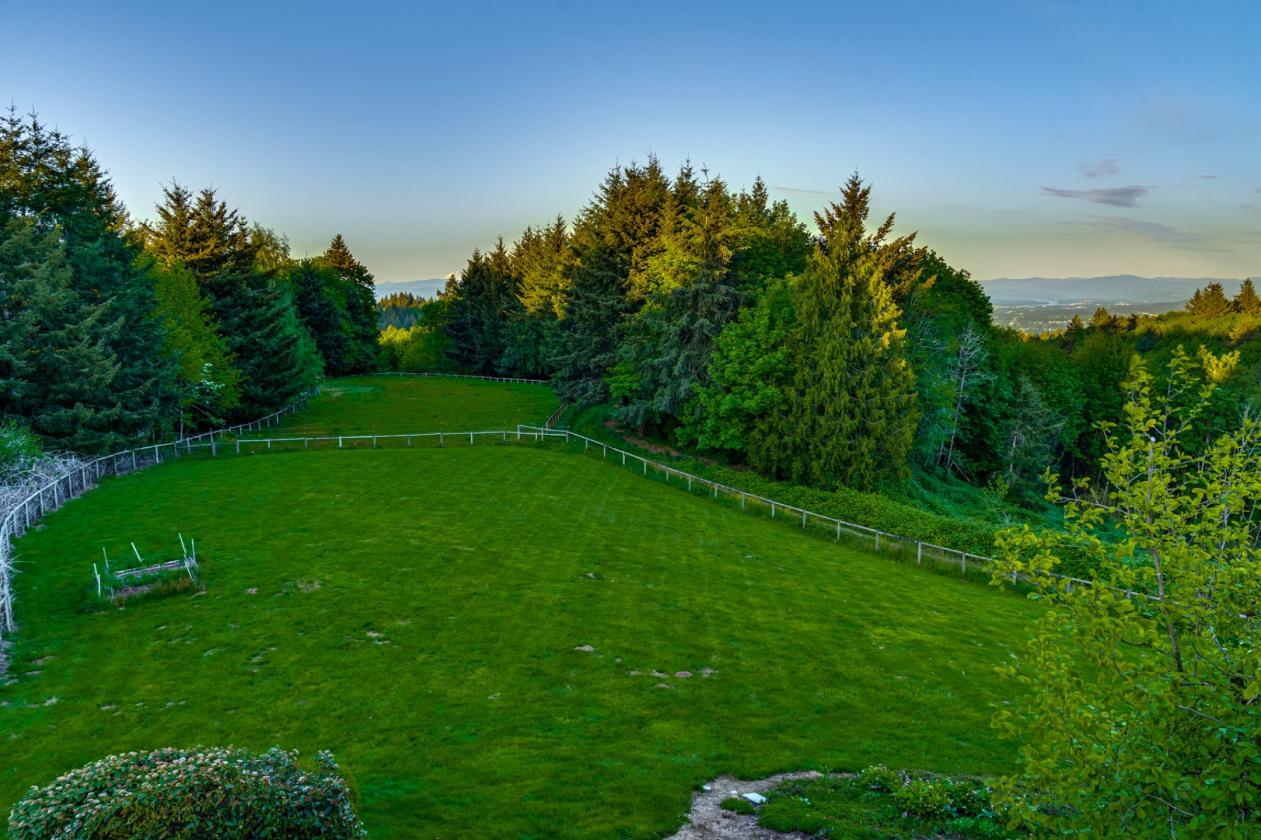 Luxury equestrian estate with pool, barn, arenas - photo 20