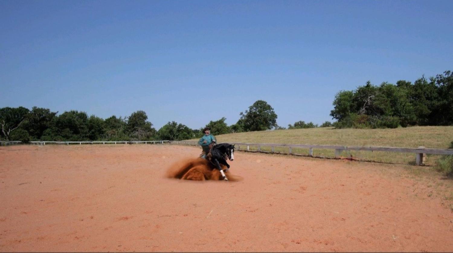 REINING - EVENTING OR WEDDING VENUE - photo 17