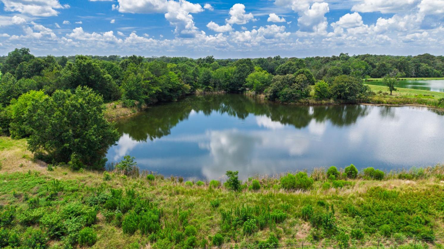 127 ac East Texas Rolling Hills - photo 2