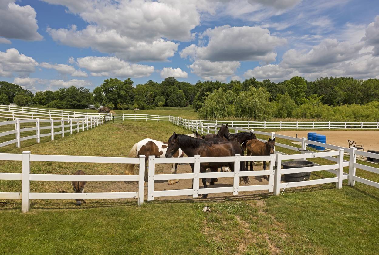 Luxury home w/ Lakeviews and Horse Barn, Arena, Pasture30 min