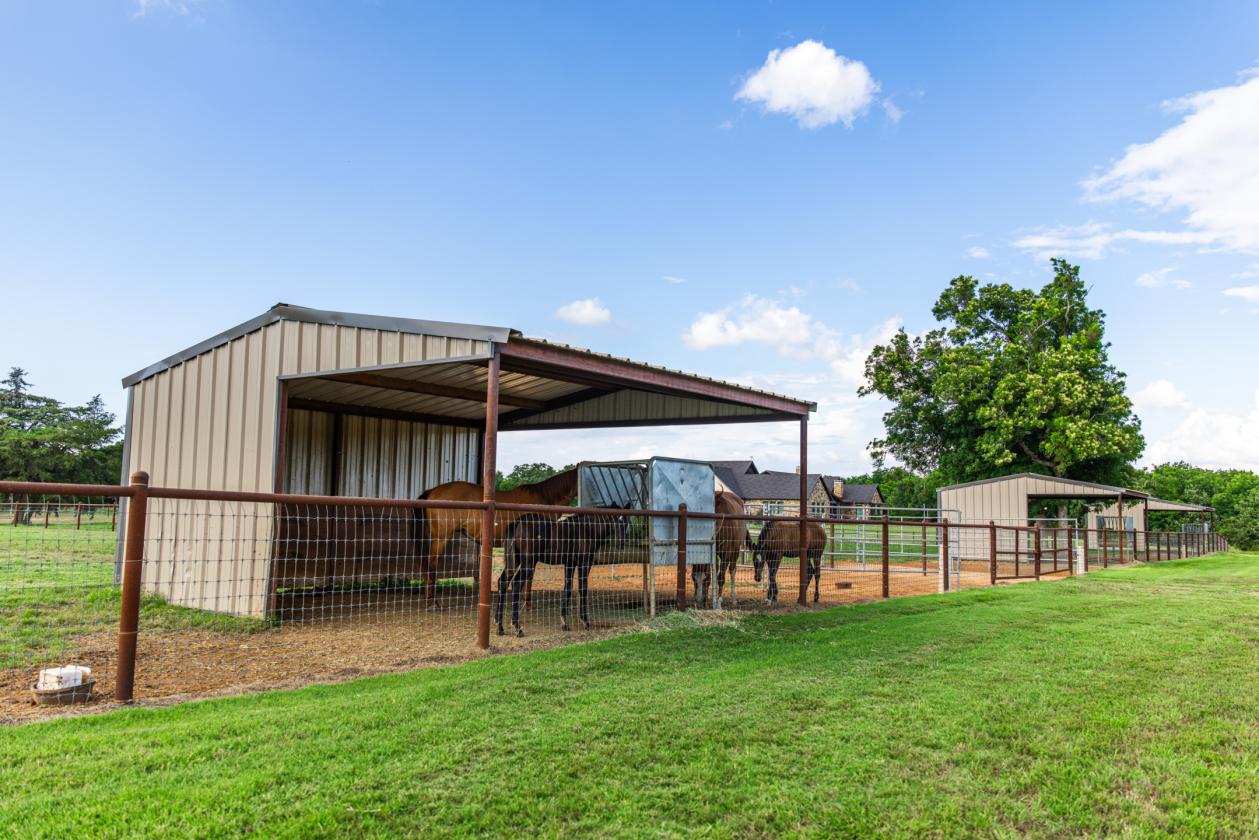 Walnut Creek Horse Ranch - photo 30