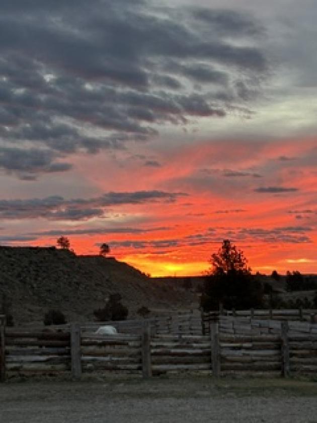 Piece of Heaven on 75 Acres - photo 11
