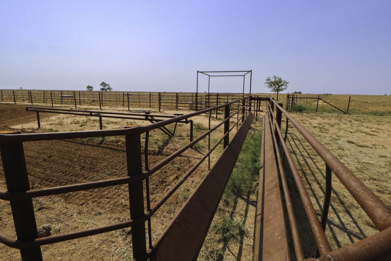 Prime Texas Ranch with Arena, Home, & Acreage - photo 25