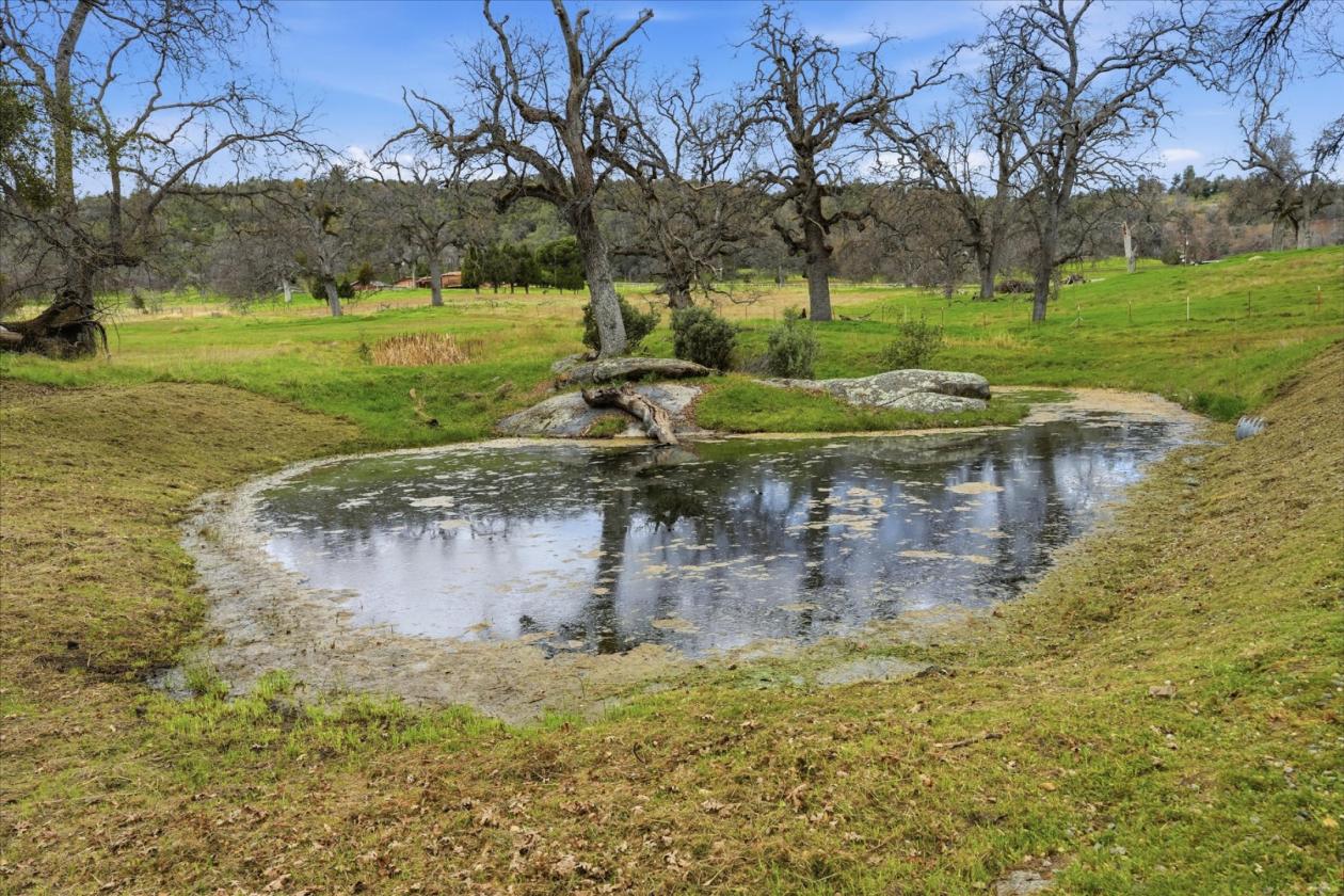 Happiness is Mariposa on 6.09 Acres - photo 28