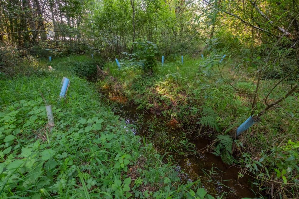 Pristine Hobby Farm in Coastal Oregon with a Creek - photo 22
