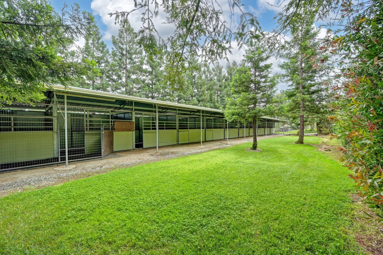 NEW PRICE! 3 bed, 2 bath, covered arena, 22 stalls - photo 13