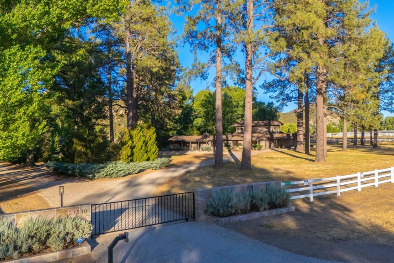Premier Equestrian Estate in Southern CA - photo 2