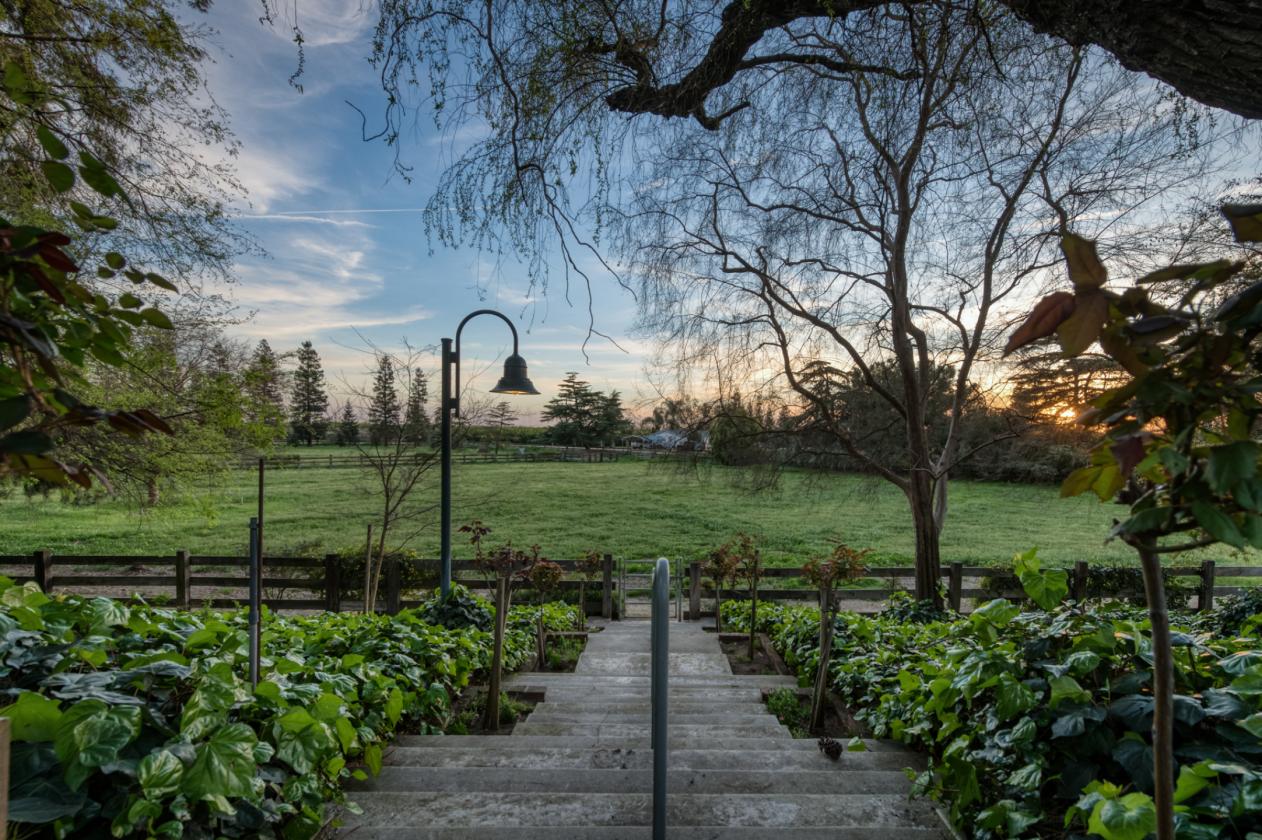 Extraordinary legacy estate in the Central Valley - photo 5