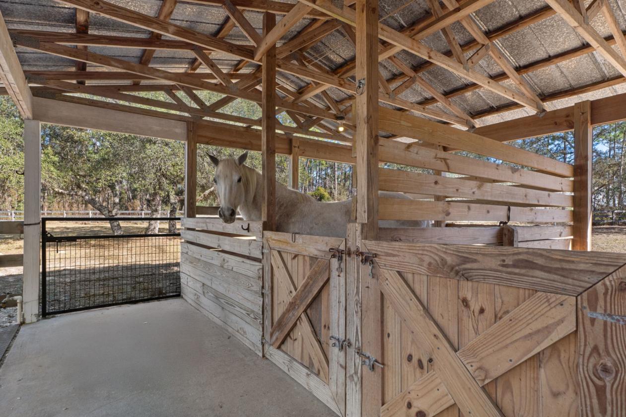 A Rare Equestrian Retreat in Pine Ridge Estates - photo 4